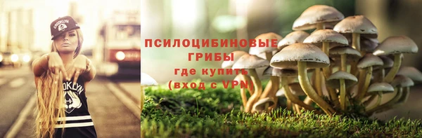 метадон Гусиноозёрск