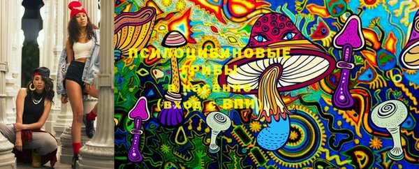 PSILOCYBIN Беломорск