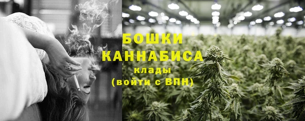 PSILOCYBIN Беломорск