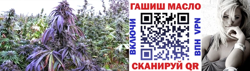 как найти закладки  Соль-Илецк  Дистиллят ТГК вейп 