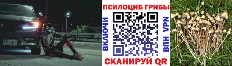 OMG ONION Соль-Илецк Псилоцибиновые грибы мухоморы