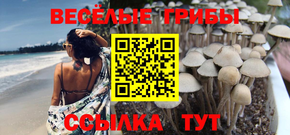 Соль-Илецк  Галлюциногенные грибы MAGIC MUSHROOMS  Вход с VPN 